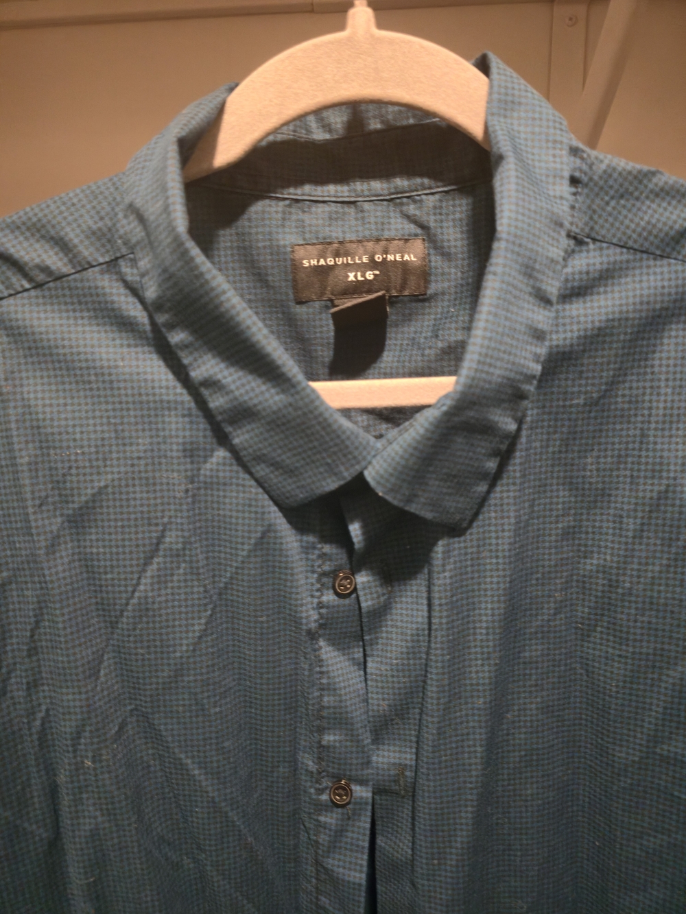 Men's Teal Micro-Check Button-Down Shirt